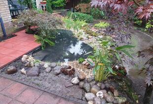 Aanleg natuurvijver met plantzone