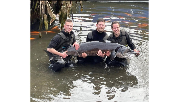 All-Roundfish Hoevelaken - Webshop en winkel voor vis- en vijverproducten