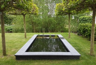 Aanleg spiegelvijver met planten oever