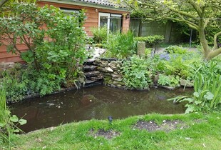 Renovatie Natuurvijver