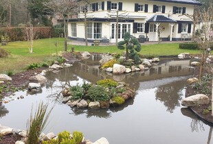 Aanleg natuurvijver met eiland