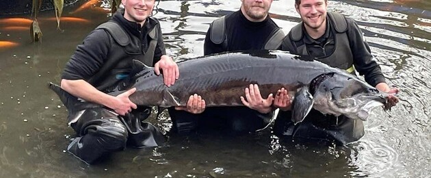 Vis transport | Opgeleverde projecten | All-Roundfish