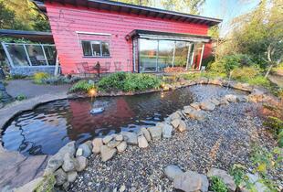 Aanleg / renovatie vijver met waterornamenten